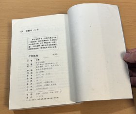 王朔文集 谐谑卷