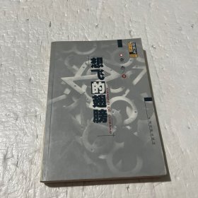 想飞的翅膀