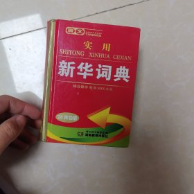 唐文：实用新华词典