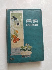 老笔记本 果实 日记本