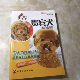 宠尚生活系列：贵宾犬（泰迪熊）