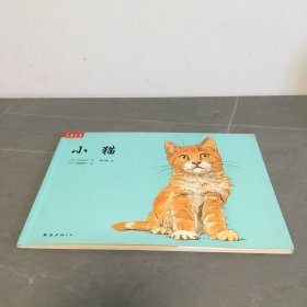 小猫