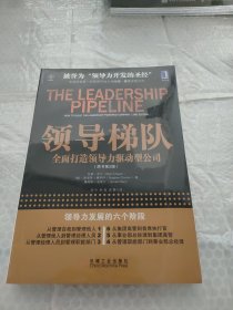 领导梯队：全面打造领导力驱动型公司(原书第2版)有黄斑