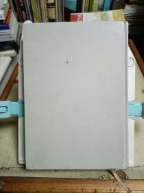 奥斯卡·王尔德传 逆流1895-1900