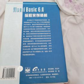 Visual Basic 6.0 编程案例精解