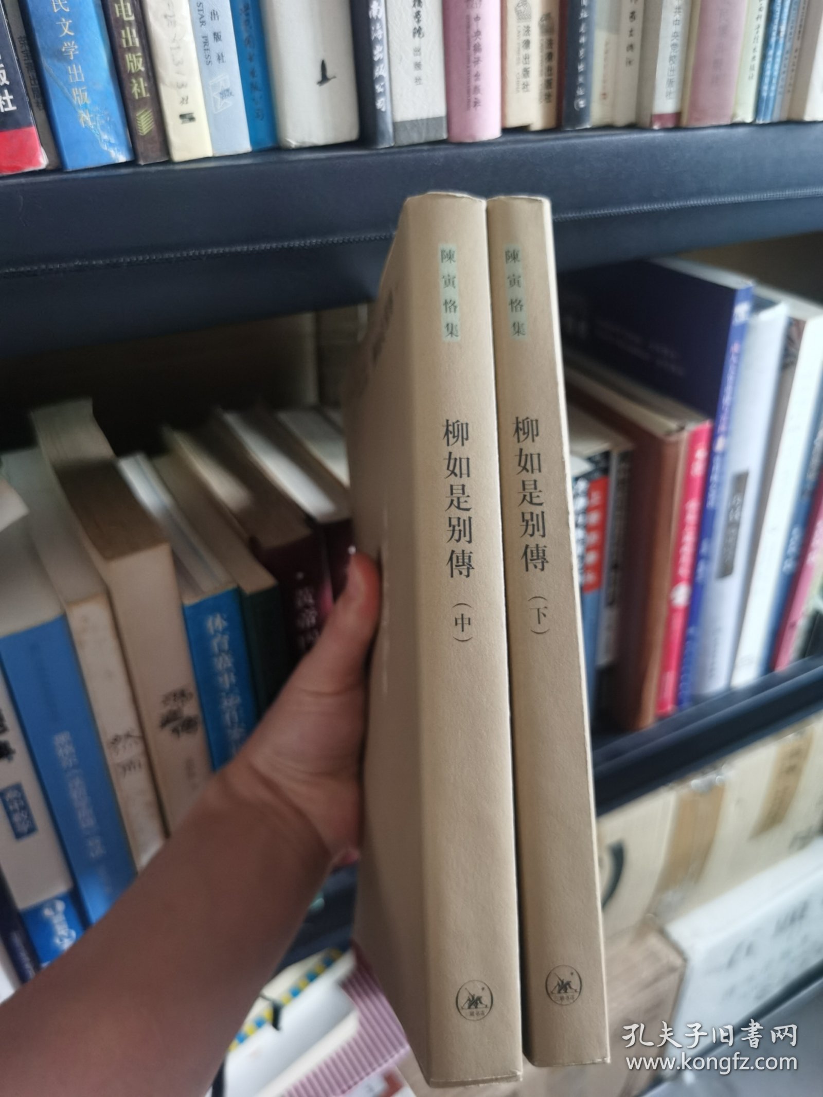 柳如是别传（中下册）