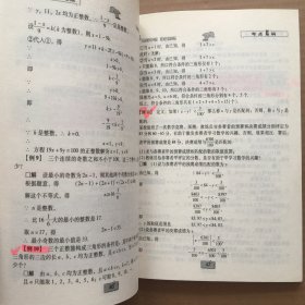 讲透重点难点·初中数学：方程与不等式