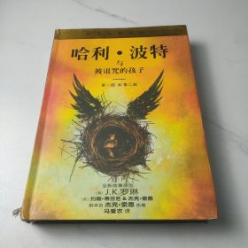 哈利·波特与被诅咒的孩子第一部和第二部