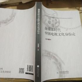 融媒体时代中国电视文化身份论