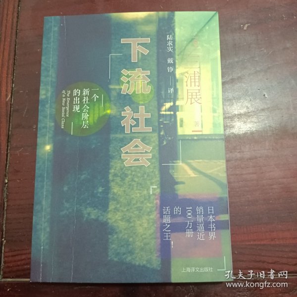 下流社会：一个新社会阶层的出现