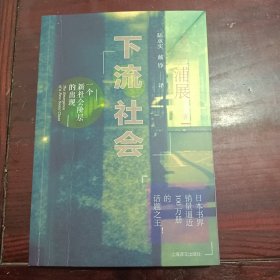 下流社会：一个新社会阶层的出现