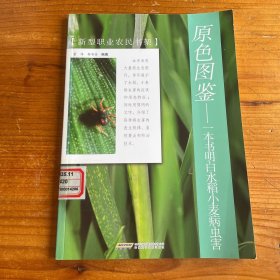 原色图鉴 一本书明白水稻小麦病虫害/新型职业农民书架