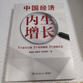 中国经济：内生增长（黄奇帆、楼继伟、刘世锦、刘元春、姚洋……国家经济智囊联袂解读中国经济增长新势能）