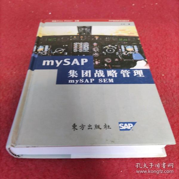 mySAP集团战略管理