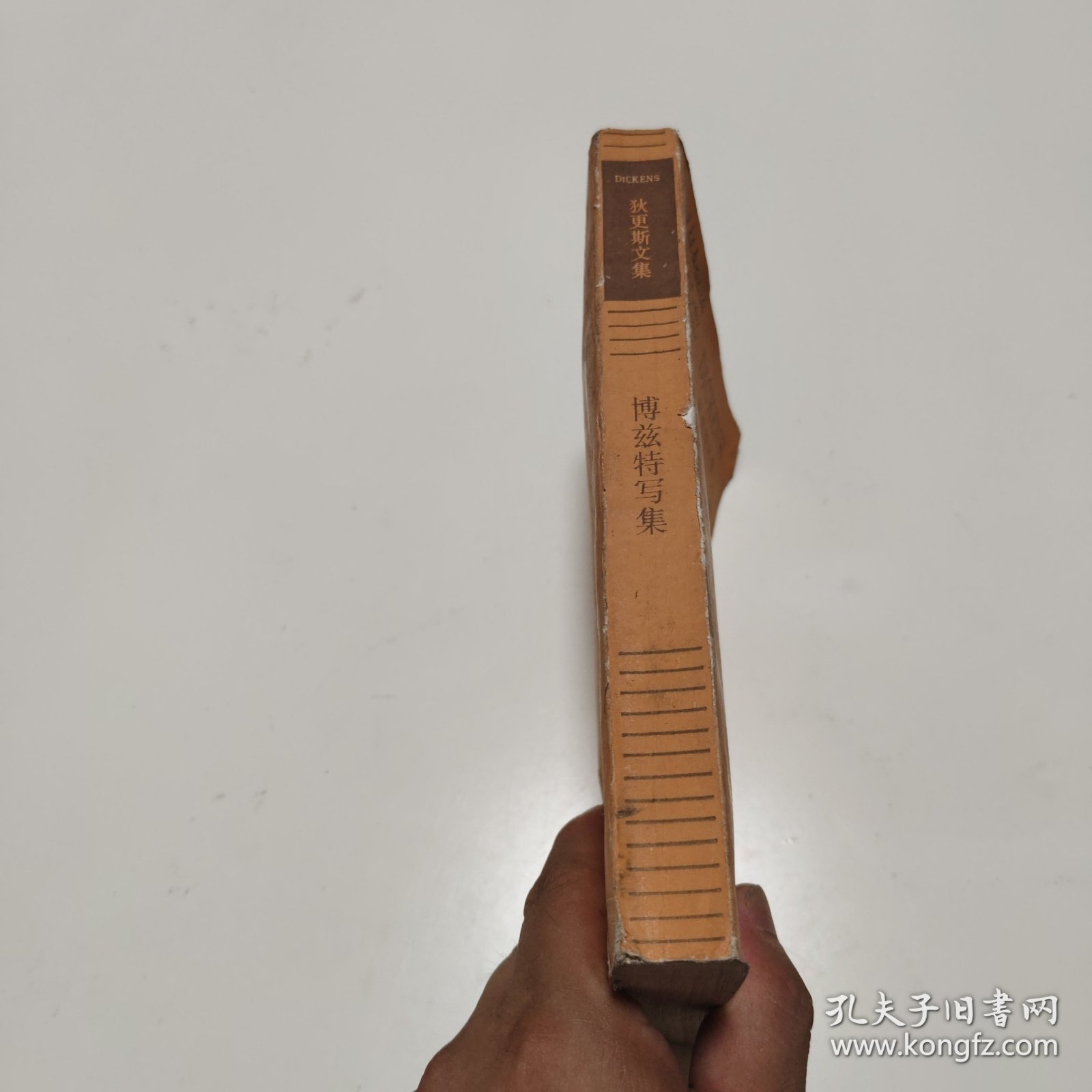 博兹特写集：狄更斯文集