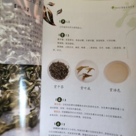 鉴茶・泡茶全图解