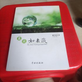 真实如来藏
