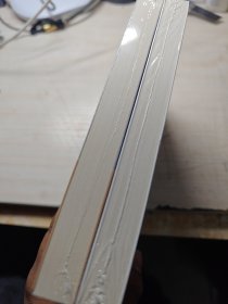 灰犀牛：如何应对大概率危机+灰犀牛 个人、组织如何与风险共舞 管理理论（2本合售）（未开封）