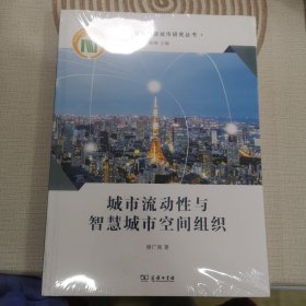 城市流动性与智慧城市空间组织/大数据与智慧城市研究丛书