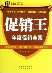 王牌培训书系：促销王·年度促销全案