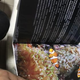 世界珊瑚图鉴：300幅珊瑚鉴赏图典