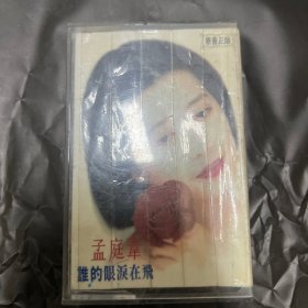 08 孟庭苇 谁的眼泪在飞 磁带