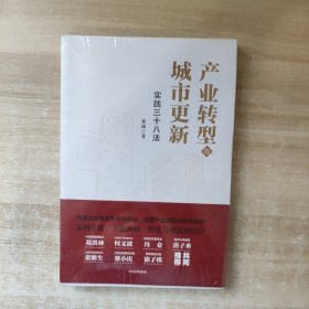 产业转型与城市更新：实践三十八法