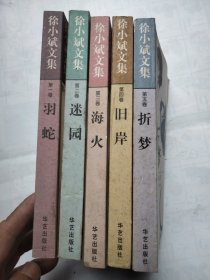 徐小斌文集 全五册