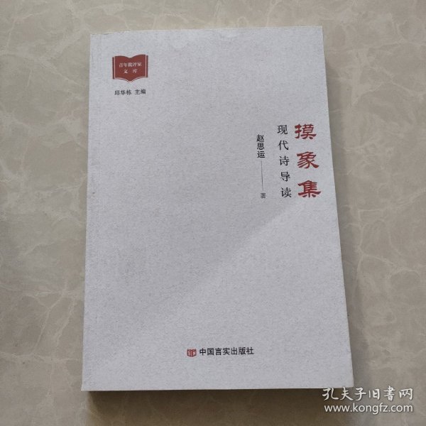 摸象集 现代诗导读