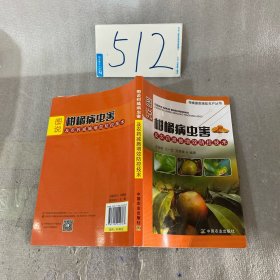 图说柑橘病虫害及农药减施增效防控技术