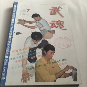 武魂，中华民族，优秀文化遗产，少林武术研究，八卦太极拳，传统形意拳，吕红八势，洛阳心意拳虎形，武学研究，名拳，练功，太极大杆子，武派太极拳，形意拳，功夫，拳史钩沉，拳道，形意拳大师尚云祥，戴家拳，拳法，搏击，峨眉拳，技击，擒敌术，武林人物，中国式摔跤，运动健将，柔道，武术器械，拳种，梅花摔手螳螂拳，中华文明，武当太极揉球功，内功，养生，点穴，散打技术，意拳，玉门拳八卦掌，武林，习拳，中医骨伤科