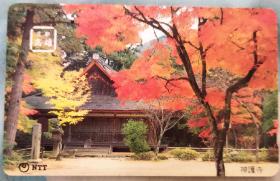 日本电话卡～寺庙/植物/四季专题~(京都 高雄) 神護寺 秋，枫叶（过期废卡，收藏用）