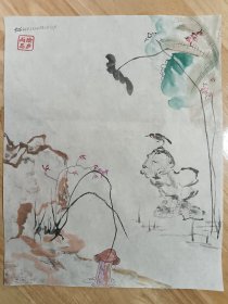 吾师杨光.鸟孤独