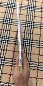 北大版少儿汉语教材:我爱学中文 小学用书 第四册(大开本,有光盘) 品相自鉴