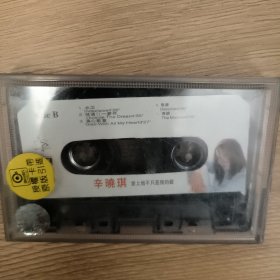 磁带 辛晓琪~爱上他不只是我的错