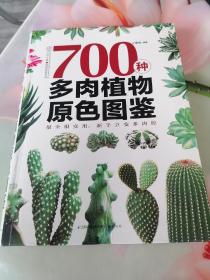 700种多肉植物原色图鉴