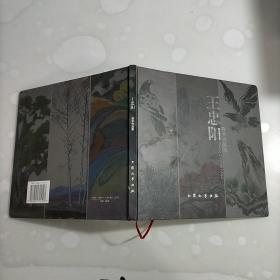王忠阳美术作品集