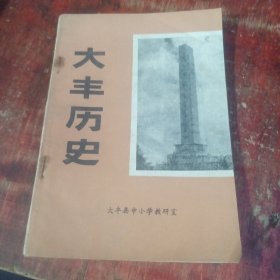 大丰历史