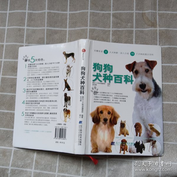 狗狗犬种百科