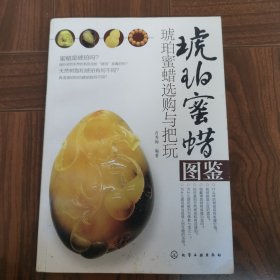 琥珀蜜蜡图鉴：琥珀蜜蜡选购与把玩