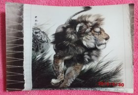 狮子王 老照片