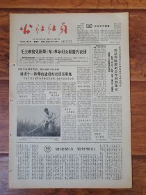 公社社员1965.7.8