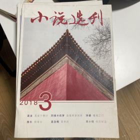 小说选刊