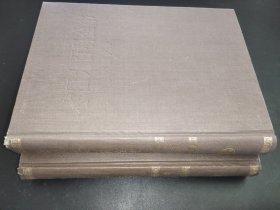 中國(guó)大百科全書(shū)   中國(guó)文學(xué) 全2冊(cè)