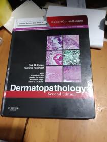 Dermatopathology 皮肤病理学 第二版