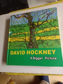 David Hockney: A Bigger Picture彩色大画册