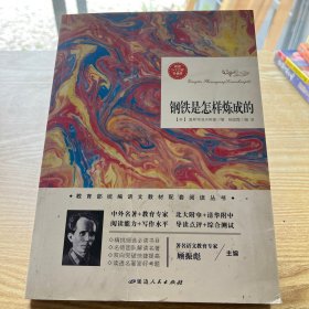 钢铁是怎样炼成的。