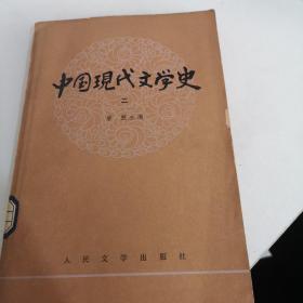 中国现代文学史（二）