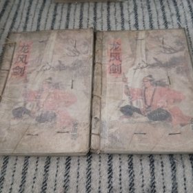 龙风剑(上下册)