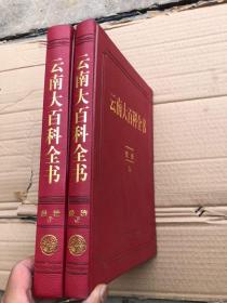 云南大百科全书：【经济】 （上下全两册）大开本、皮面精装